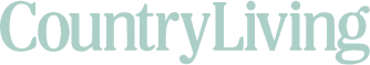 brie logo 2